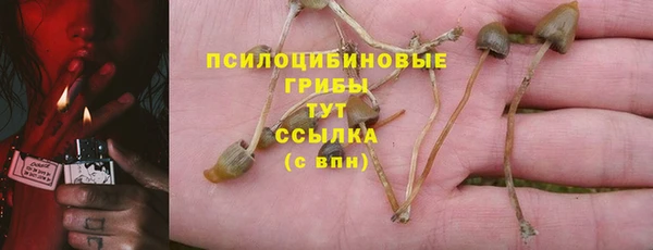 прущие крисы Михайлов