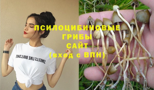 прущие крисы Михайлов