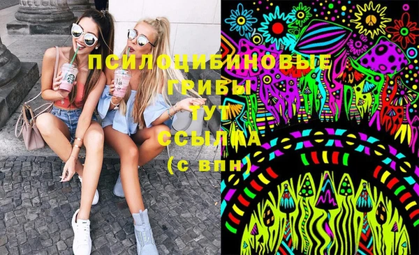 прущие крисы Михайлов