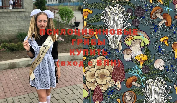 прущие крисы Михайлов