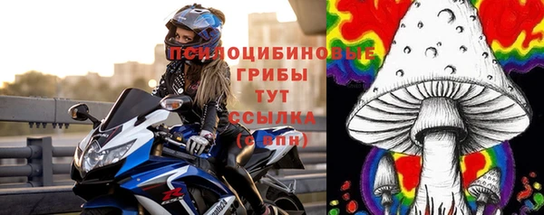 прущие крисы Михайлов